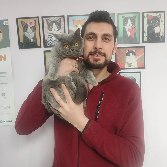 Sipse parazit uygulaması sonrası